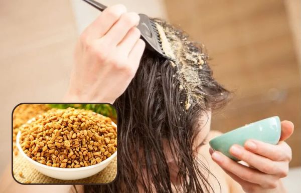 How to Use Fenugreek Seeds (Methi) for Hair Growth: Unlock Its Hidden Magic
